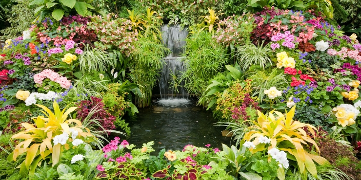 Butchart Gardens flowers one of the best places to visit and things to do on Vancouver Island.