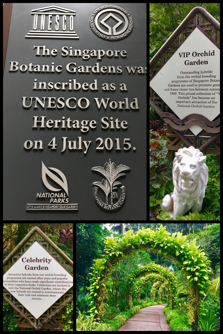 VIP ORCHID gardens in singapore