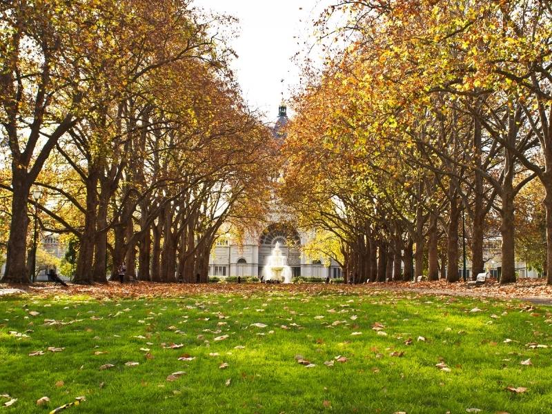 Carlton Gardens