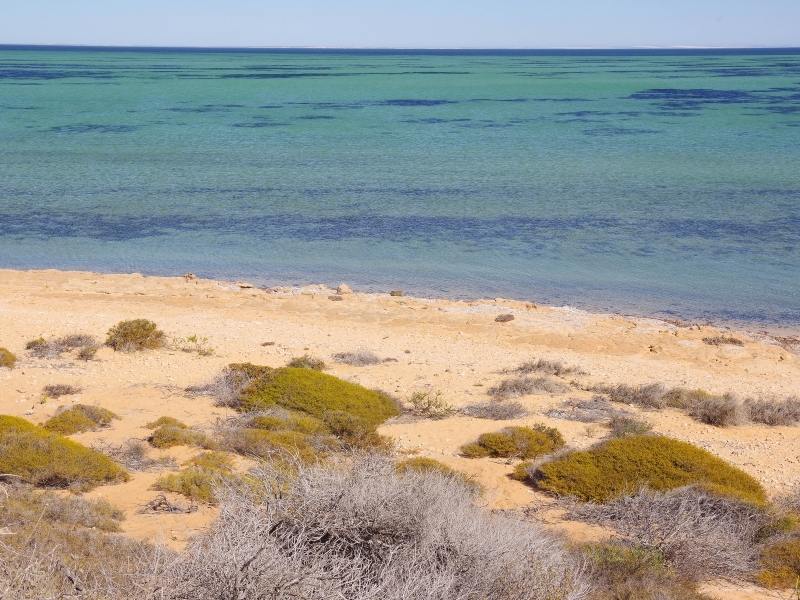 Ningaloo Reef