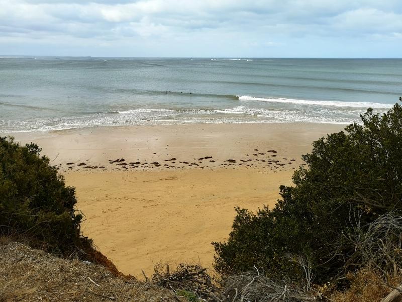 Torquay Beach