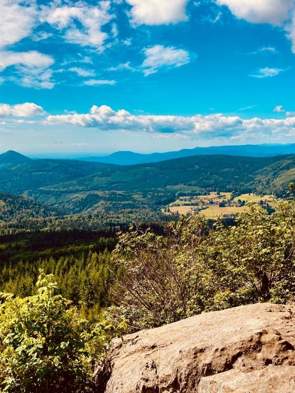 Vosges