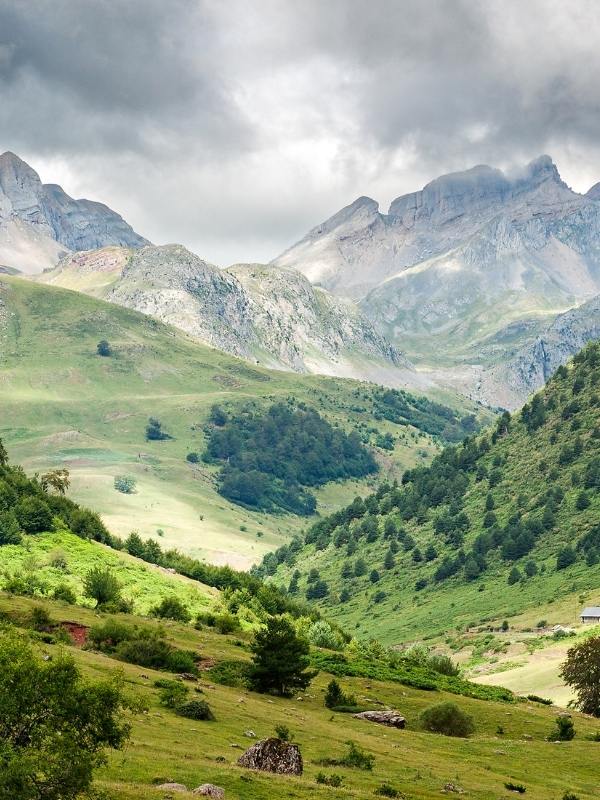 Pyrenees