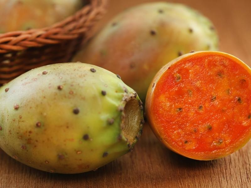 Maltese prickly pears
