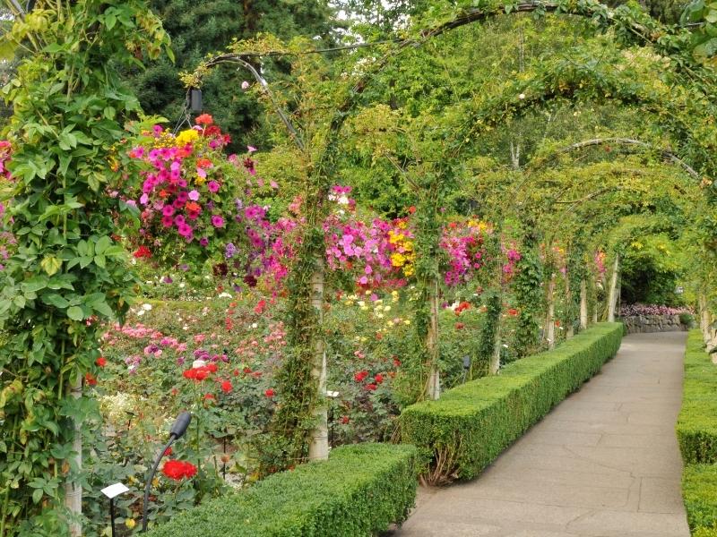 Flower arch at Butchart Gardens.