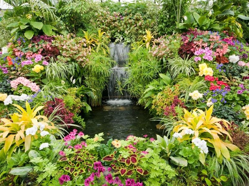 Flowers at Butchart Gardens.