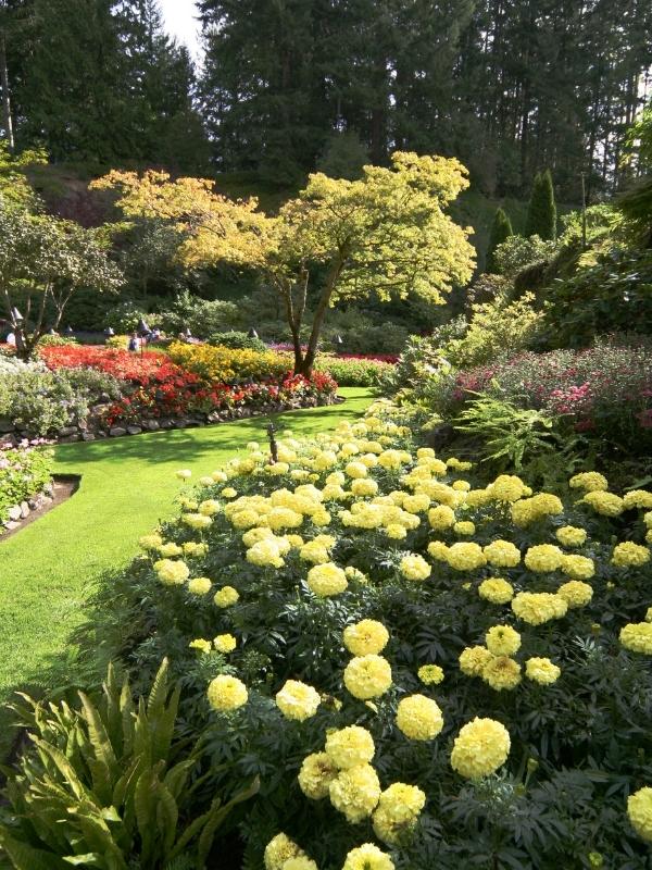 Summer Flowers at Butchart Gardens.