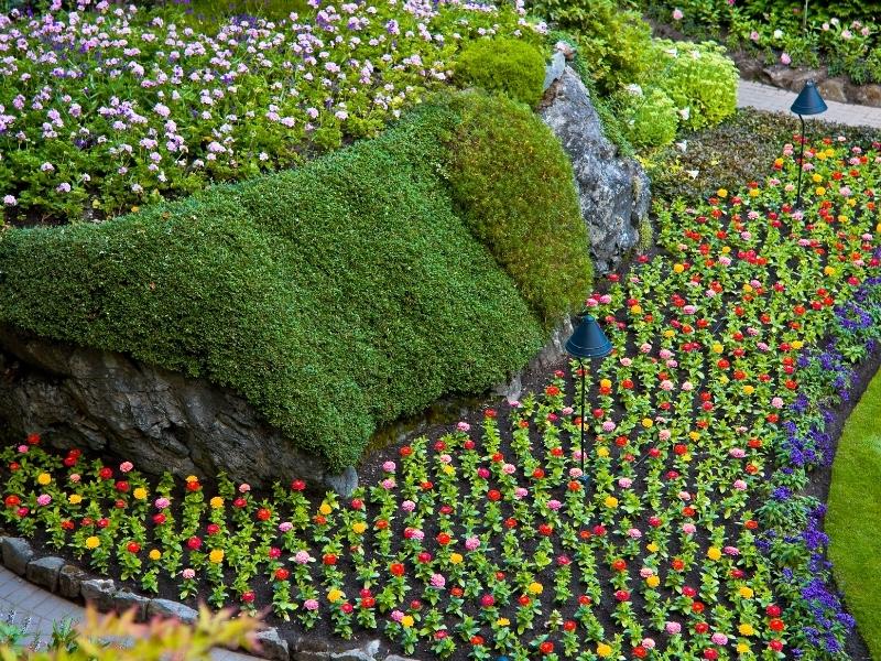 Flower bed at Butchart Gardens.