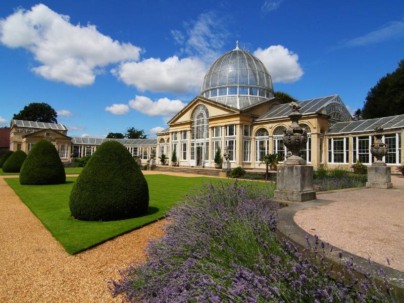 Syon Park West London.