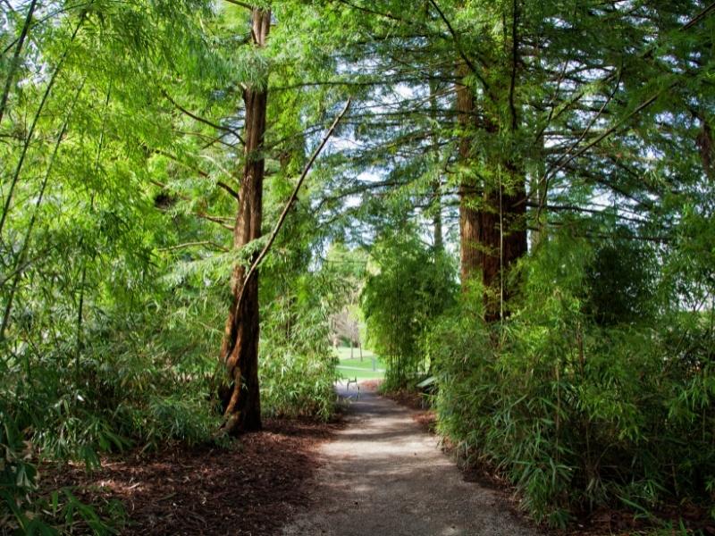 VANDUSEN BOTANICAL GARDEN.