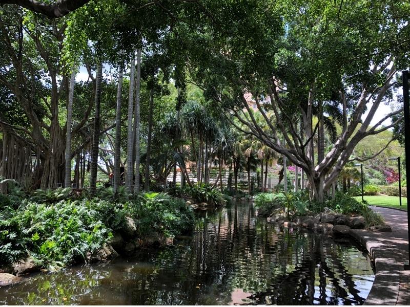 Gardens in South Bank Brisbane.