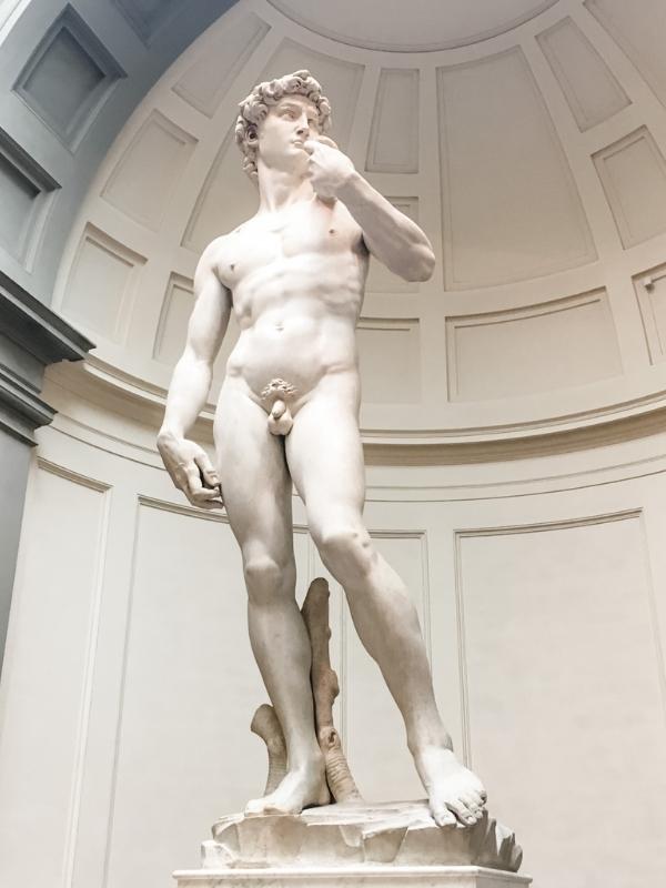 David at the Accademia.
