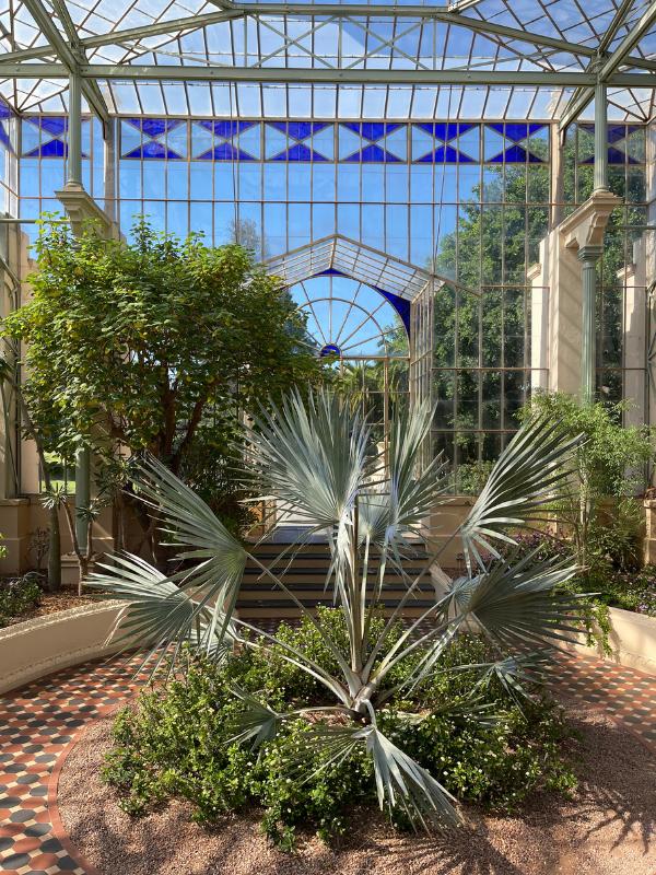 Adelaide Botanic Gardens