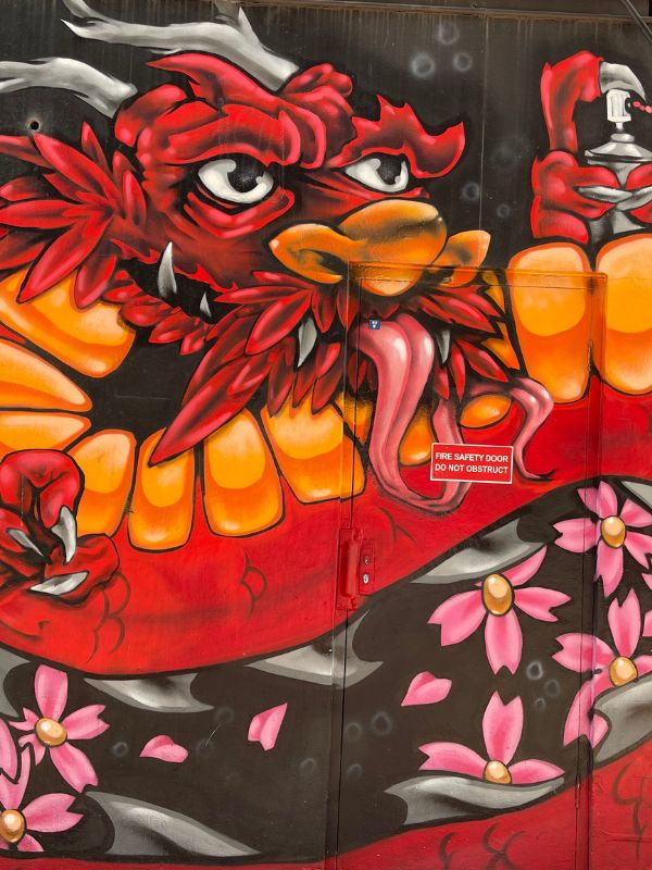 Adelaide Street art 6