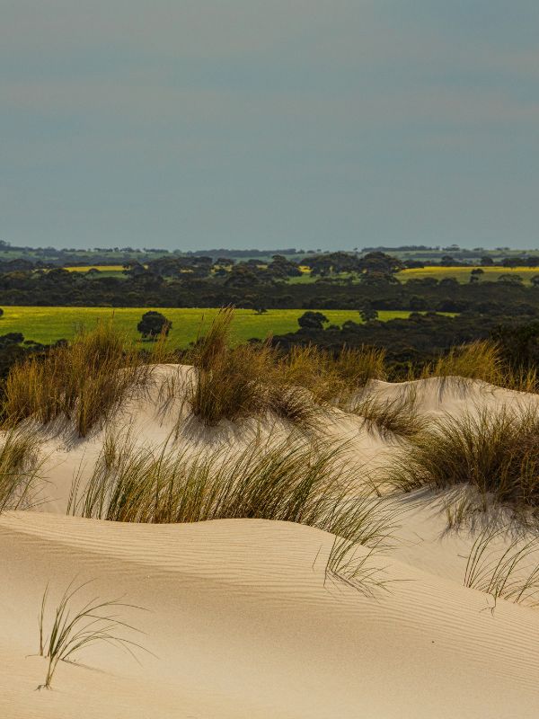 Kangaroo Island 1