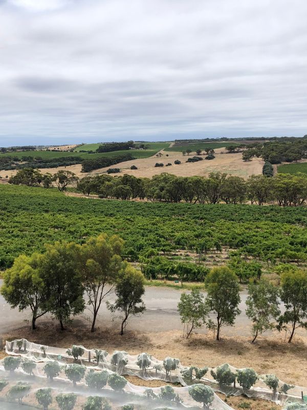 McLaren Vale South Australia 7