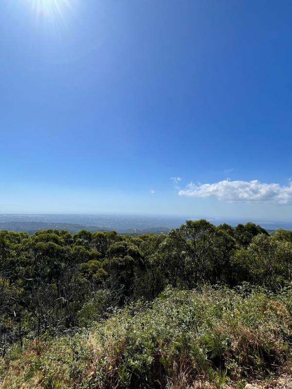 Mount Lofty 2
