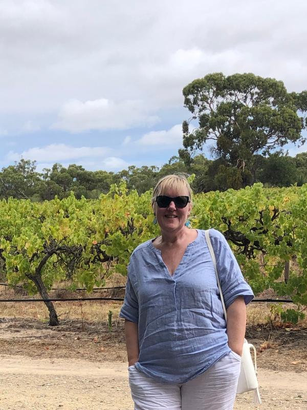 Vineyard