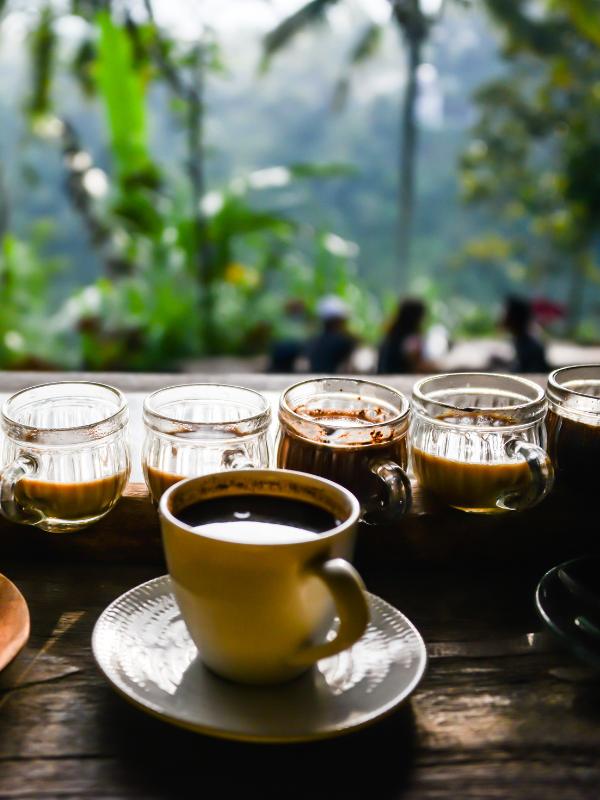 Coffee cups with a tropical background of palm trees.