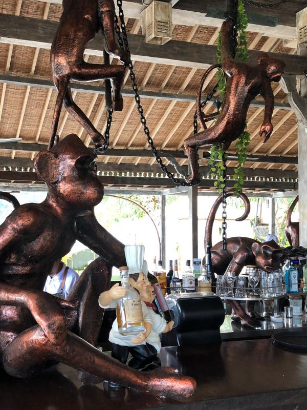 Monkey Bar 1