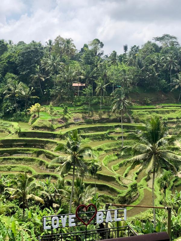 Tegalalang Rice Terraces