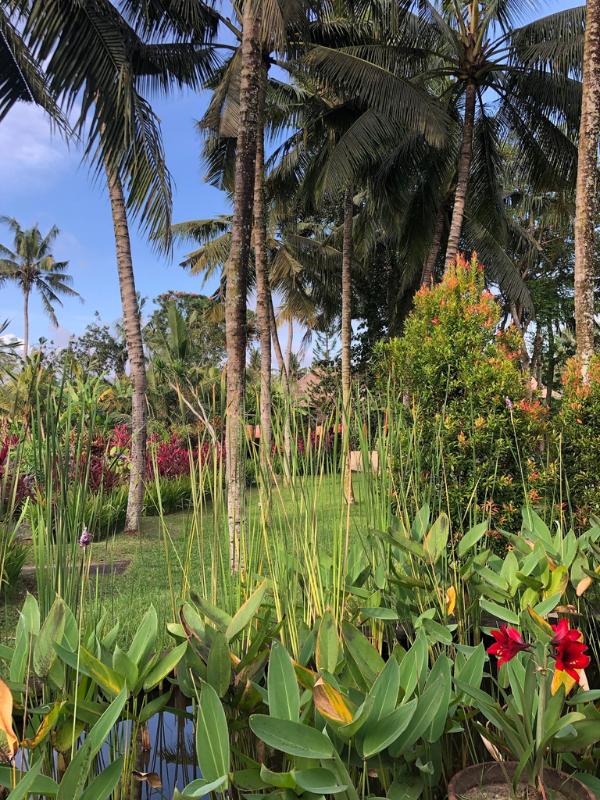 Beutiful grounds