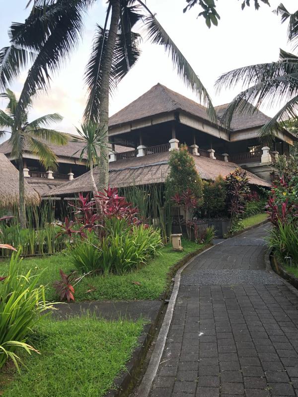 Main restaurant area