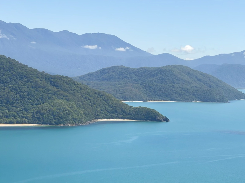 Daintree Rainforest