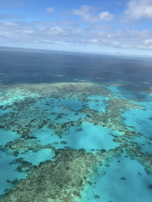 The Great Barrier Reef