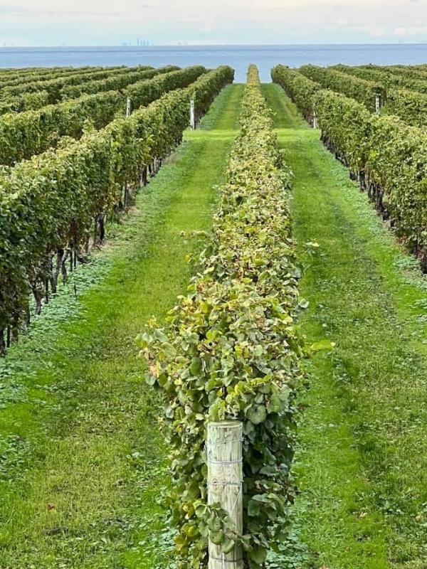 Niagara on the Lake