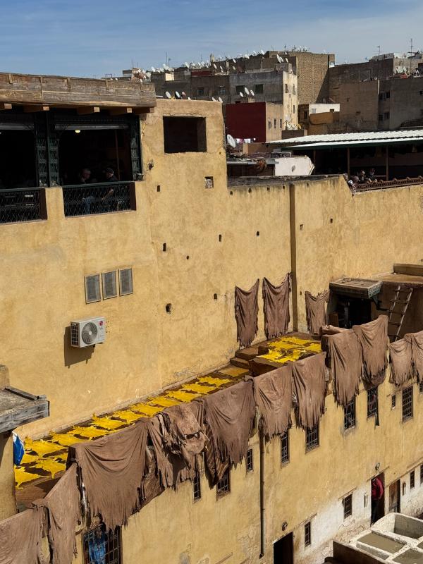 Dye pits in Fez