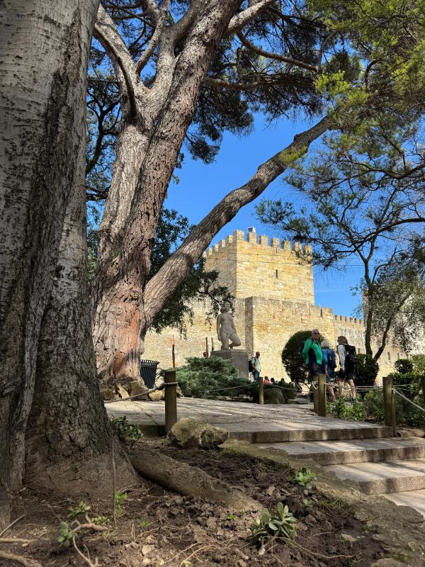 Lisbon Castle view