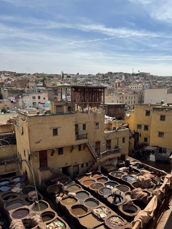 tannery Fez