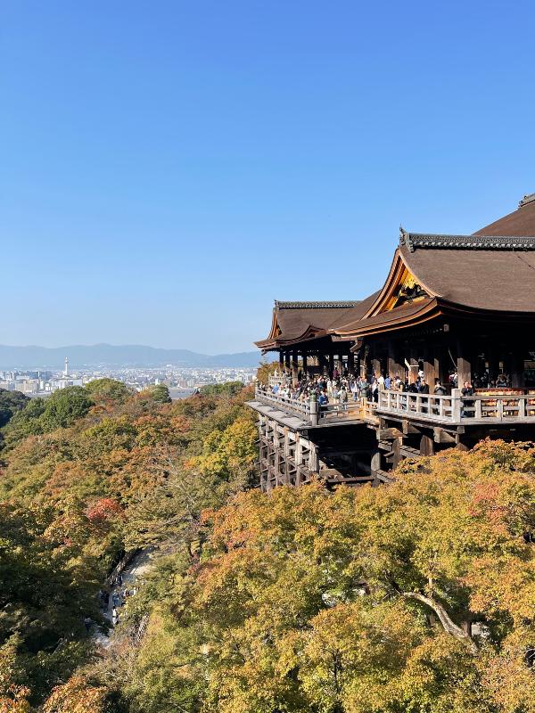 Autumn leaves and temple
