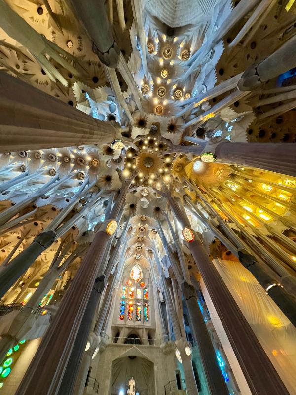 Ceiling at La Sagrada Familia