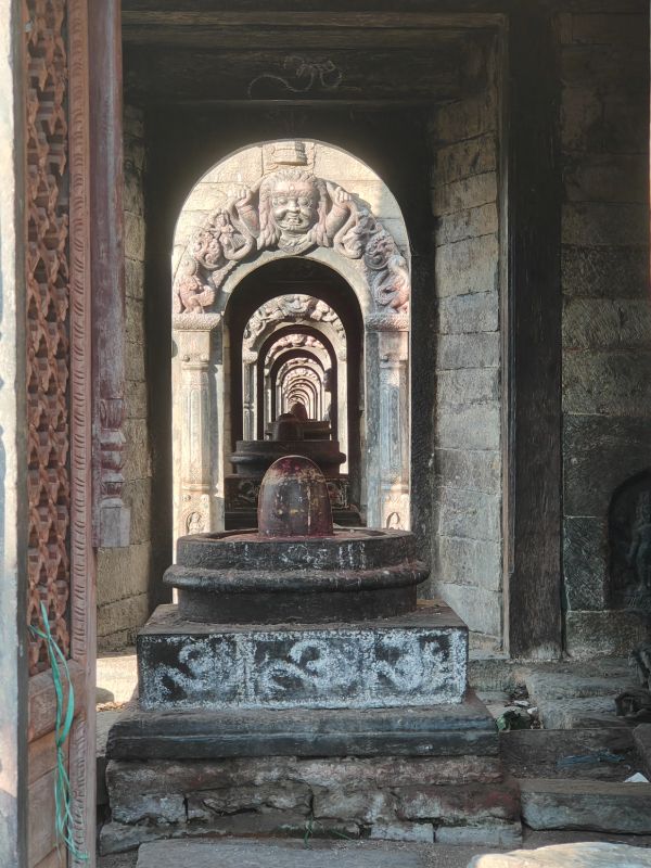 EPISODE 55 IMG20241028163430