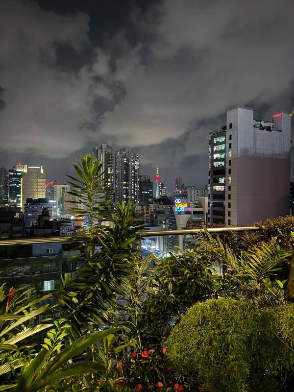 Colombo at night