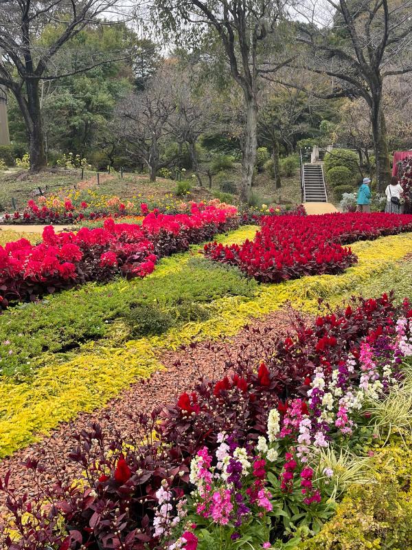 Hana Biyori Gardens