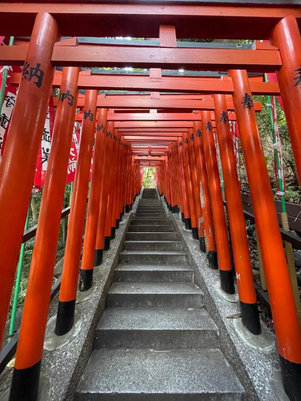 Japan 1