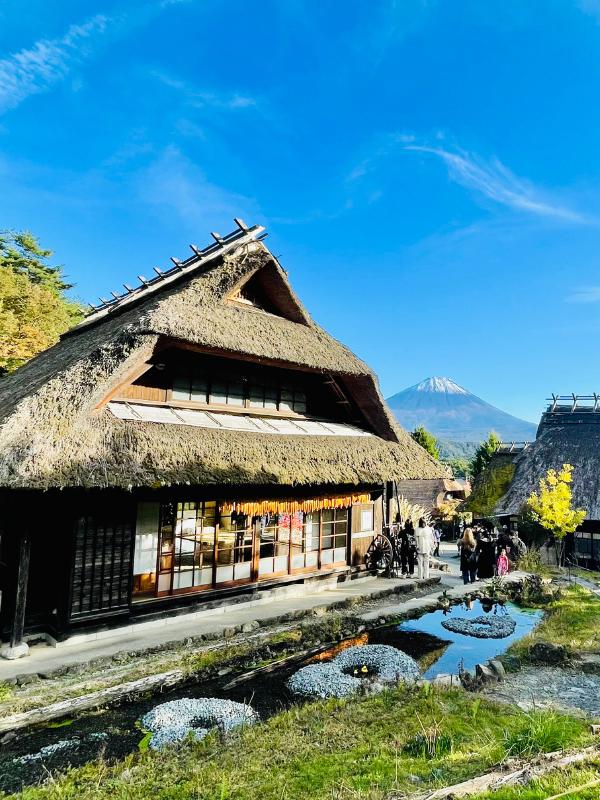 Mt Fuji from village