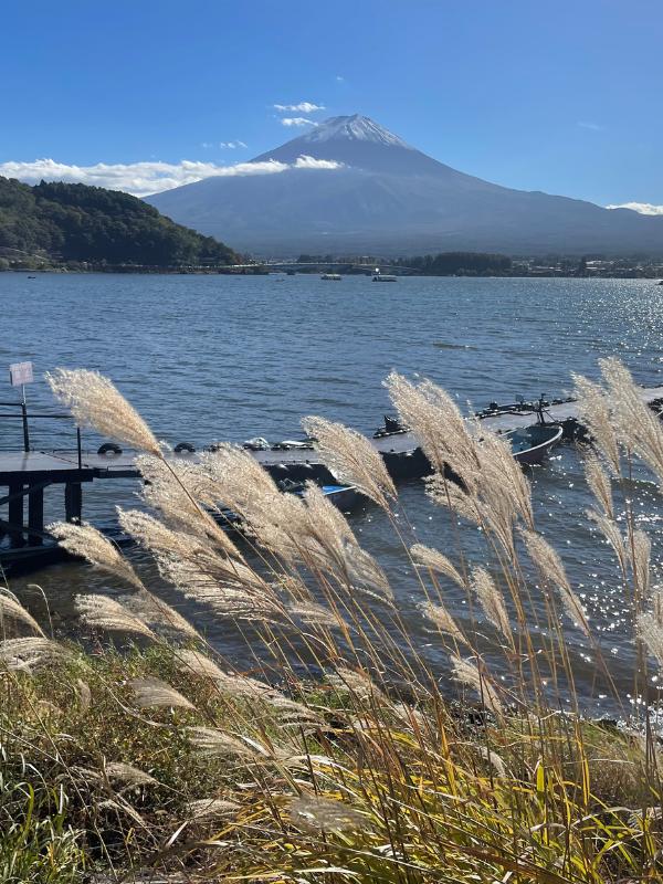 Mt Fuji views