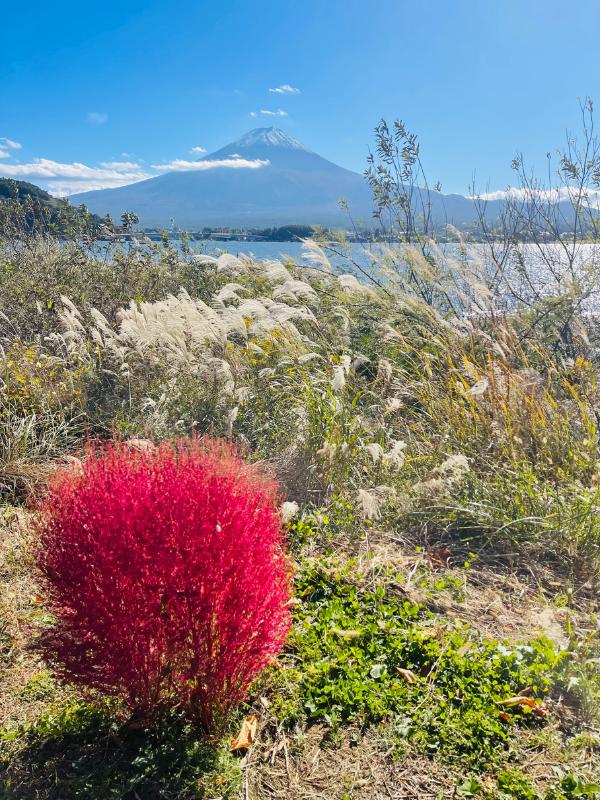 Pretty Mt Fuji