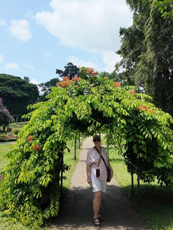 Tracy at botabic gardens