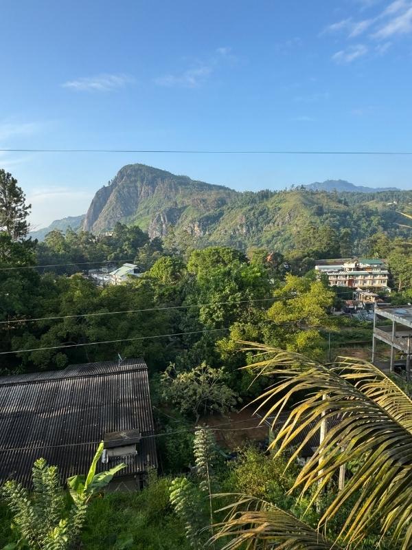 View over Ella