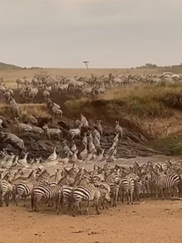 Crossing in Tanzania