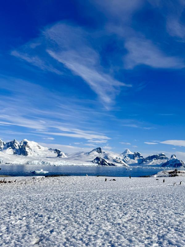 The scale of Antarctica