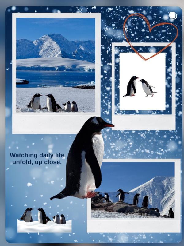 Episode 88 – Exploring Antarctica: What It’s Really Like on an HX Expeditions Cruise