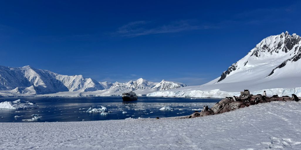 An expedition ship anchored in a calm Antarctic bay scattered with ice, with penguins on a rocky foreground and mountains behind