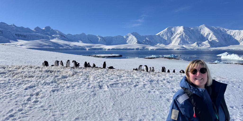 A line of Gentoo penguins along the snow with Tracy on the right, and snow-covered mountains across the bay behind