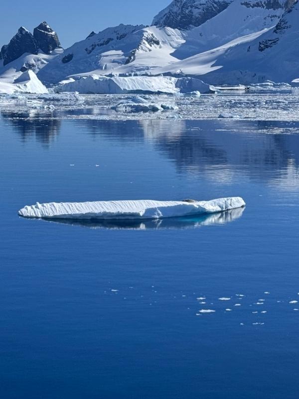 Flat, calm water on a gentle "Drake Lake" crossing to Antarctica